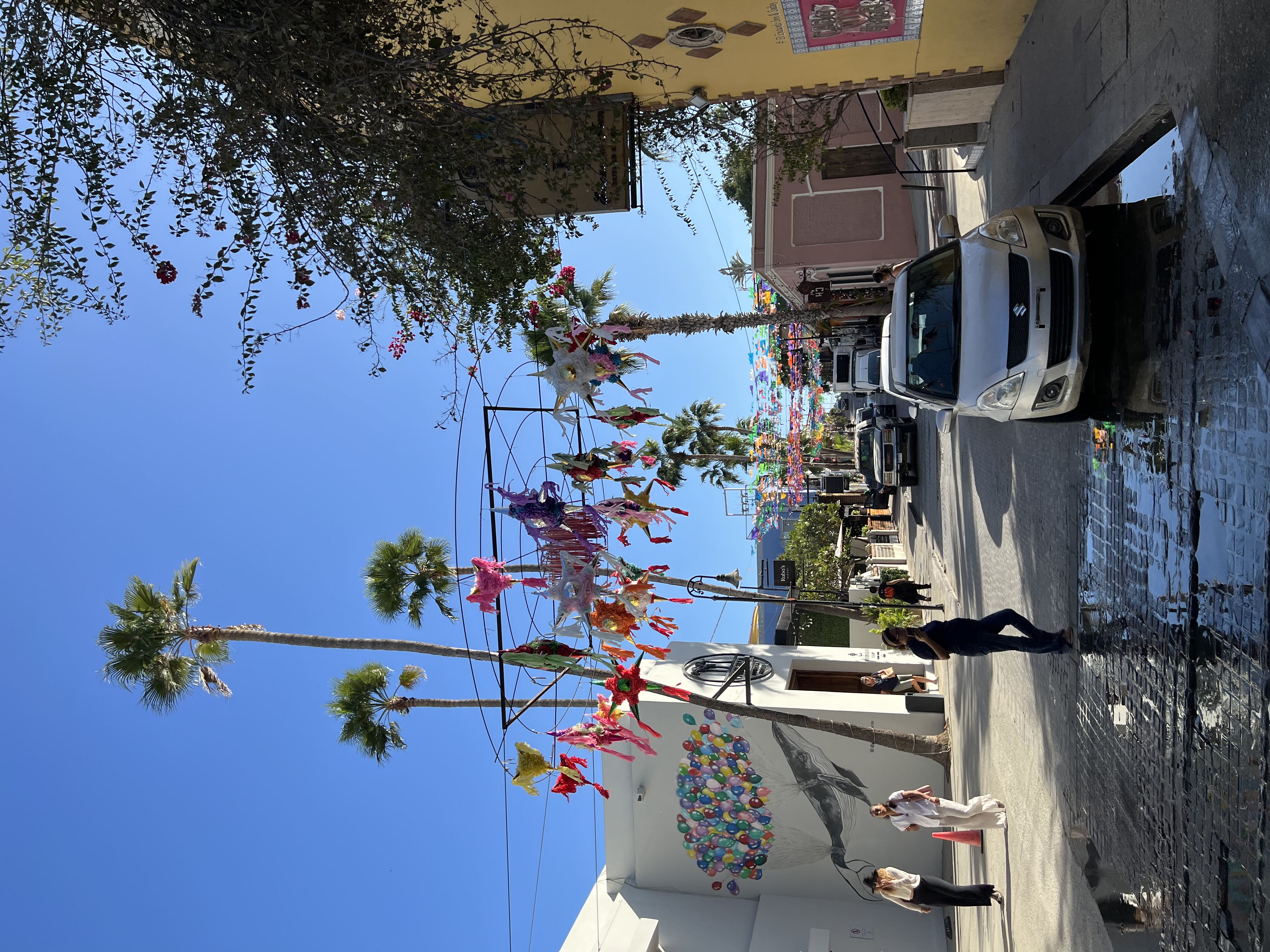 ./2024/13 - Cabo/IMG_4567.jpg